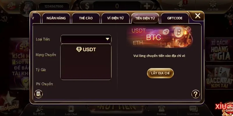 Những điều cần ghi nhớ để giao dịch nạp tiền diễn ra nhanh và hạn chế sai sót